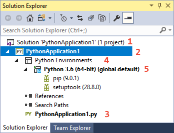 Screenshot of Solution Explorer expanded to show features.