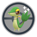 Snivy*