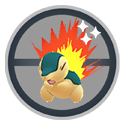 Cyndaquil*