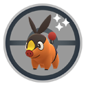 Tepig*