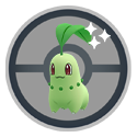 Chikorita*