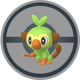 Grookey