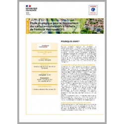 Etude stratégique pour le déploiement des carburants alternatifs à l'échelle de Toulouse Métropole (31)