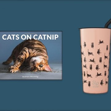 Any Feline Fan Would Find These Gifts Just Purr-fect (Sorry, We Had To)