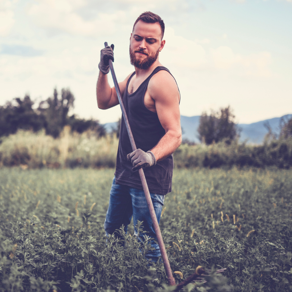 Understanding the Pros and Cons of Farm Strength & Gym Strength