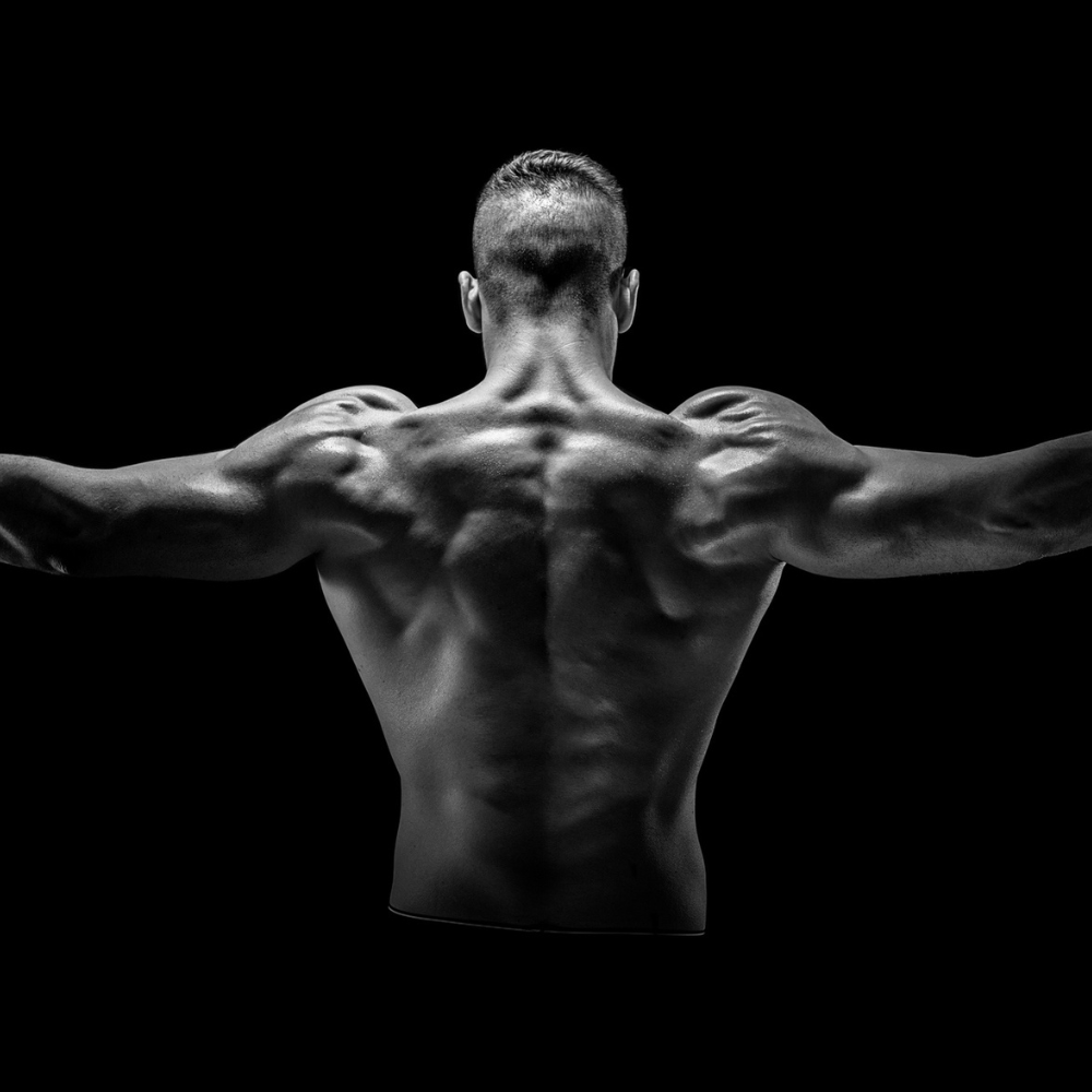 Is Your Back a Weak Point? Build Thicker, Wider Lats With These Movements