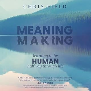 Meaning Making Audiobook By Chris Field cover art