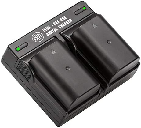 BM Premium 2-Pack of DMW-BLF19, DMW-BLF19e, DMW-BLF19PP Batteries and Dual Battery Charger for Panasonic Lumix DC-G9, DC-GH5, DMC-GH3, DMC-GH3K, DMC-GH4, DMC-GH4K Digital Camera