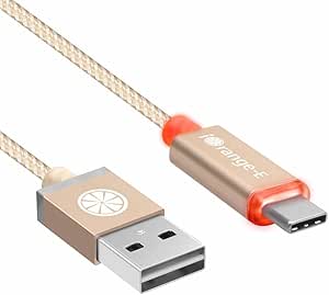 Type C, iOrange-E 6Ft USB C Cable Reversible Cable with LED Indicato, Gold