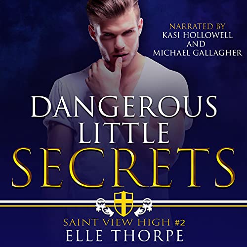 Dangerous Little Secrets Audiobook By Elle Thorpe cover art