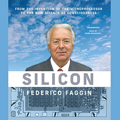 Silicon cover art