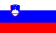 Slovenia flag