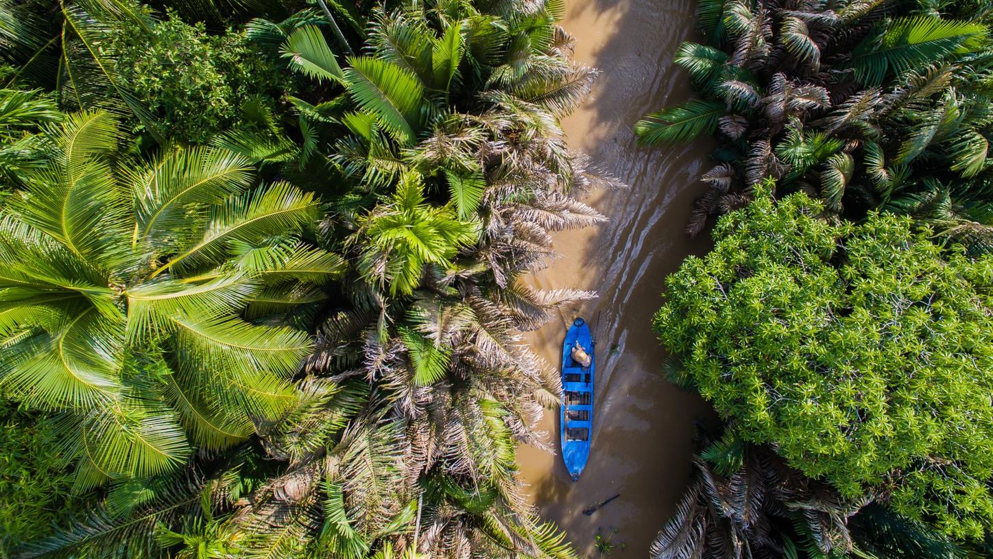 A blue boat floating on a river surrounded by lush green trees