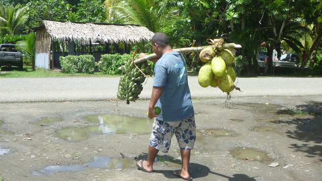 Breadfruit Is Here to Save the World