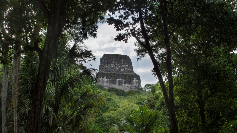 How a PhD Student Discovered a Lost Mayan City From Hundreds of Miles Away