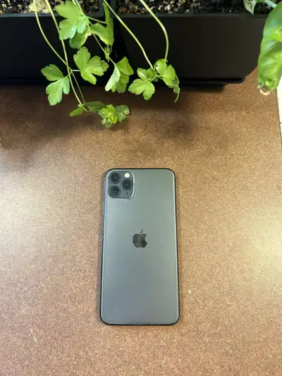 iPhone 11 Pro Max Great Condition Always kept in case 64gb $425