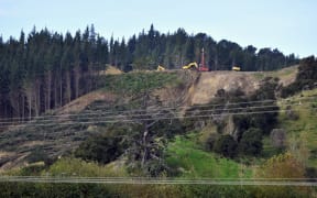 A forestry skid site on Ormond Valley Rd pictured in 2019. Eastland Wood Council chairman Julian Kohn says companies are "bleeding money" because of increased costs to build skids, with more earth movement, water control and moving more slash to sustainable areas.