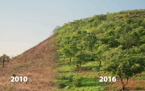 The effects of Tony Rinaudo's Farmer Managed Natural Revegetation method seen on vegetation in Niger in just six years.