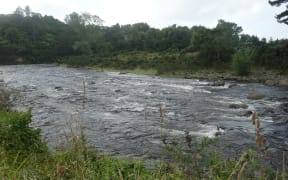 Waiwhakaiho River, as seen on January 23.