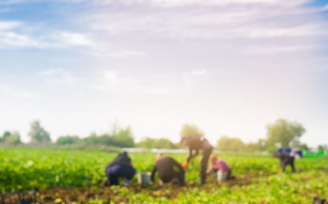 Migrant workers generic