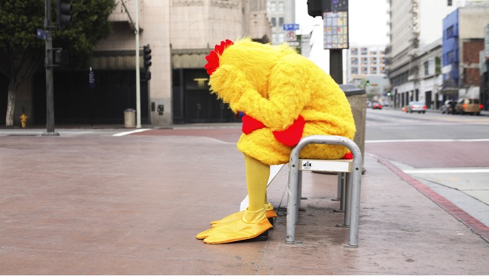 Bird that looks like it’s about to give a speech.