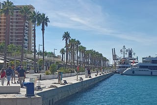 A view of the harbour of Malaga, Spain, lined with palm trees on a sunny day