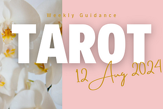 Three Tarot Readings: Week of August 12, 2024