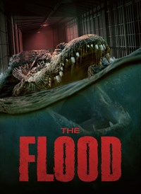 The Flood