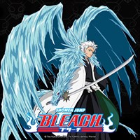 Bleach (English)