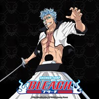 Bleach (English)