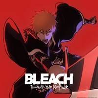 BLEACH: Thousand-Year Blood War (English)