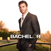 The Bachelor