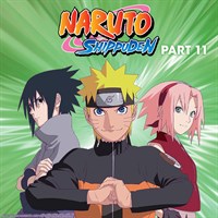 Naruto Shippuden (English HD Sets)