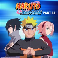 Naruto Shippuden (English HD Sets)