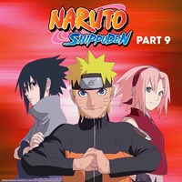 Naruto Shippuden (English HD Sets)