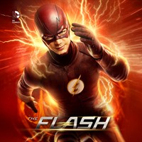 The Flash (2014) (Subtitled)