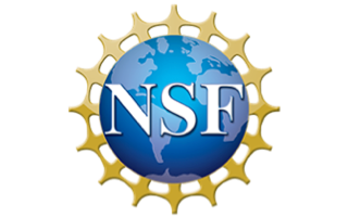 nsf logo