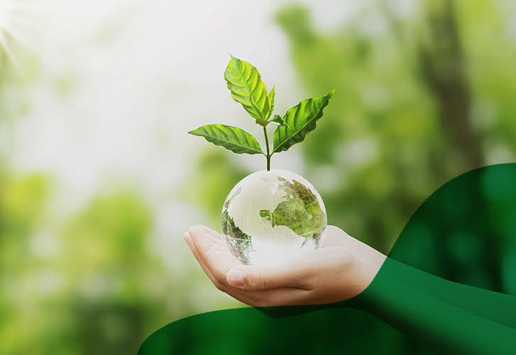 Novo Verde no painel Economia Circular & Sustentabilidade