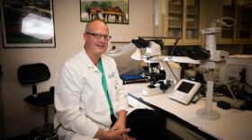 Dr. Peter Nelson of the Sanders-Brown Center on Aging. Photo by Pete Comparoni | UKphoto