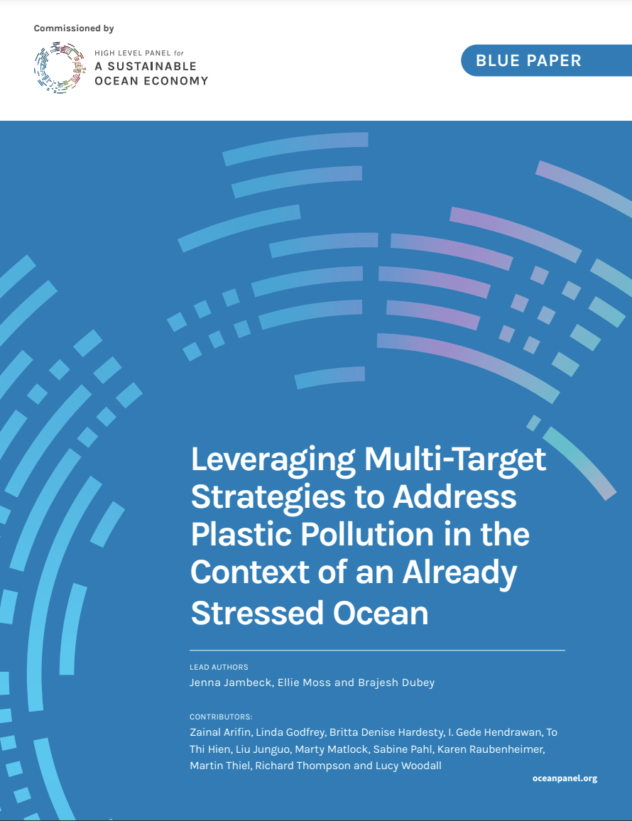 Leveraging Multi-Target Strategies to Address Plastic Pollution in the Context of an Already Stressed Ocean