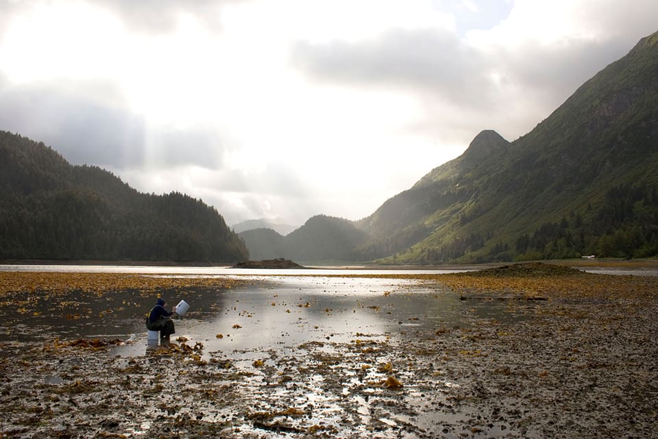 Kasitsna Bay