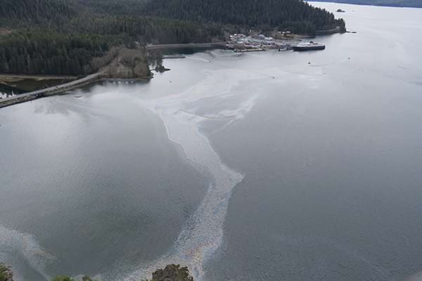 A photo of the coast in Alaska