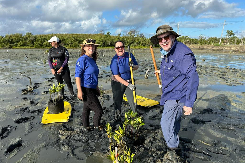 Aranzazu Lascurain (second from right), Southeast and Caribbean regional lead for NOAA’s Office for Coastal Management, or OCM, and partners plant young mangroves in the U.S. territory of Puerto Rico in January 2024. OCM provided funding to partners to rebuild the mangroves in Jobos Bay National Estuarine Research Reserve after they were decimated by Hurricanes Irma and Maria in 2017. (Image credit: BoriCorps)