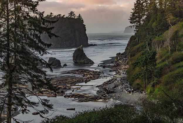 Scenic view overlooking Ruby Beach in Olympic Coast National Marine Sanctuary. (Photo: Nick Zachar/NOAA).