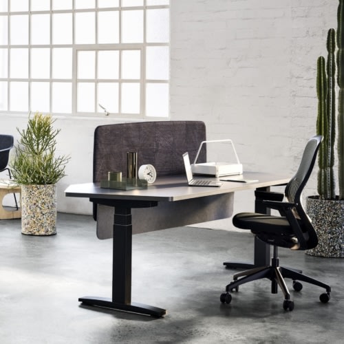 Rumba Workstation by Zenith