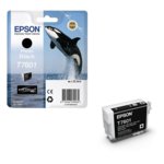 Epson C13T76014010 Photo Black