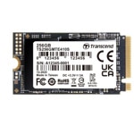 Transcend 410S 256GB TS256GMTE410S