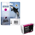 Epson C13T76034010 Vivid Magenta