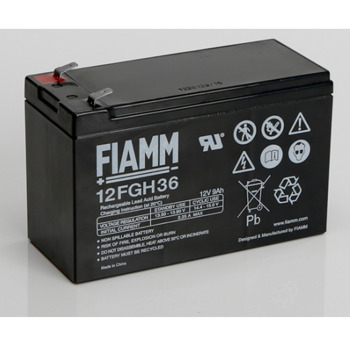 FIAMM 12FGH36