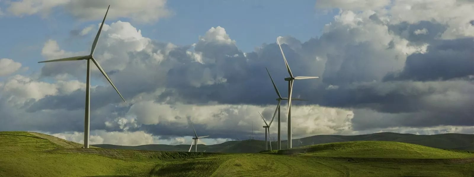 Windmills in field